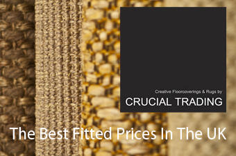 Crucial Trading The Best Fitted Prices In The UK